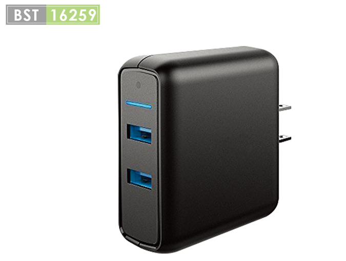 BST 2-Ports USB Wall Charger
