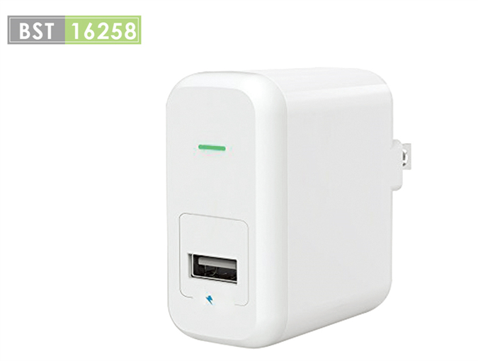 BST Single Port USB Wall Charger